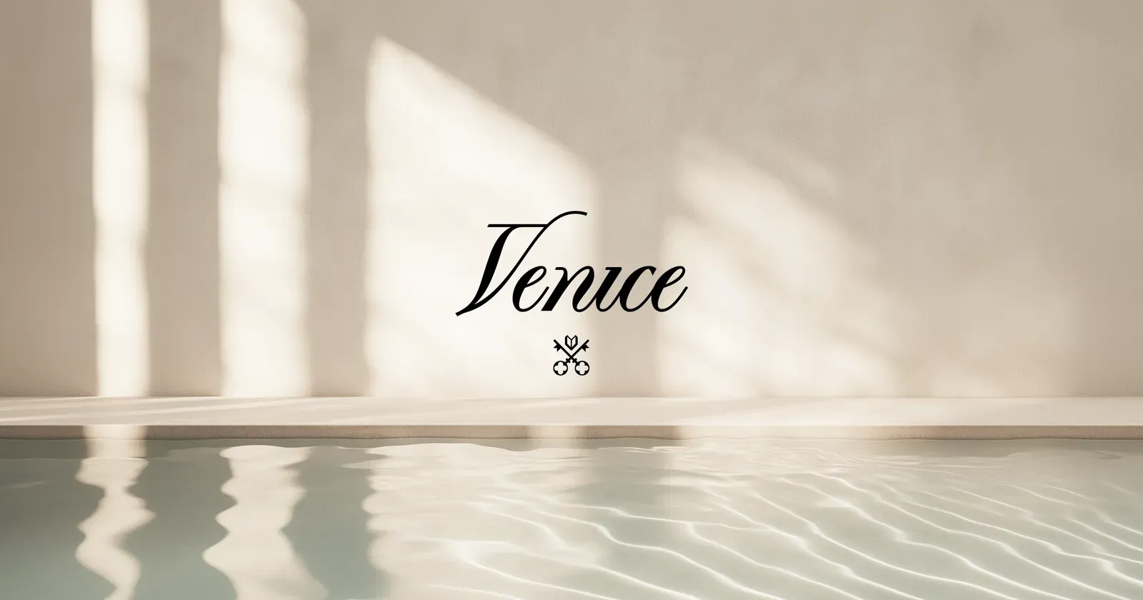 Screenshot of Venice AI